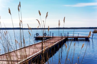 Get Professional Dock Building!
